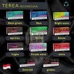 【16種口味現貨】亞洲版 (印尼) Indonesia TEREA 煙彈｜IQOS ILUMA 專用｜整條煙 10包｜蒸汽奇遇商城限定搶購